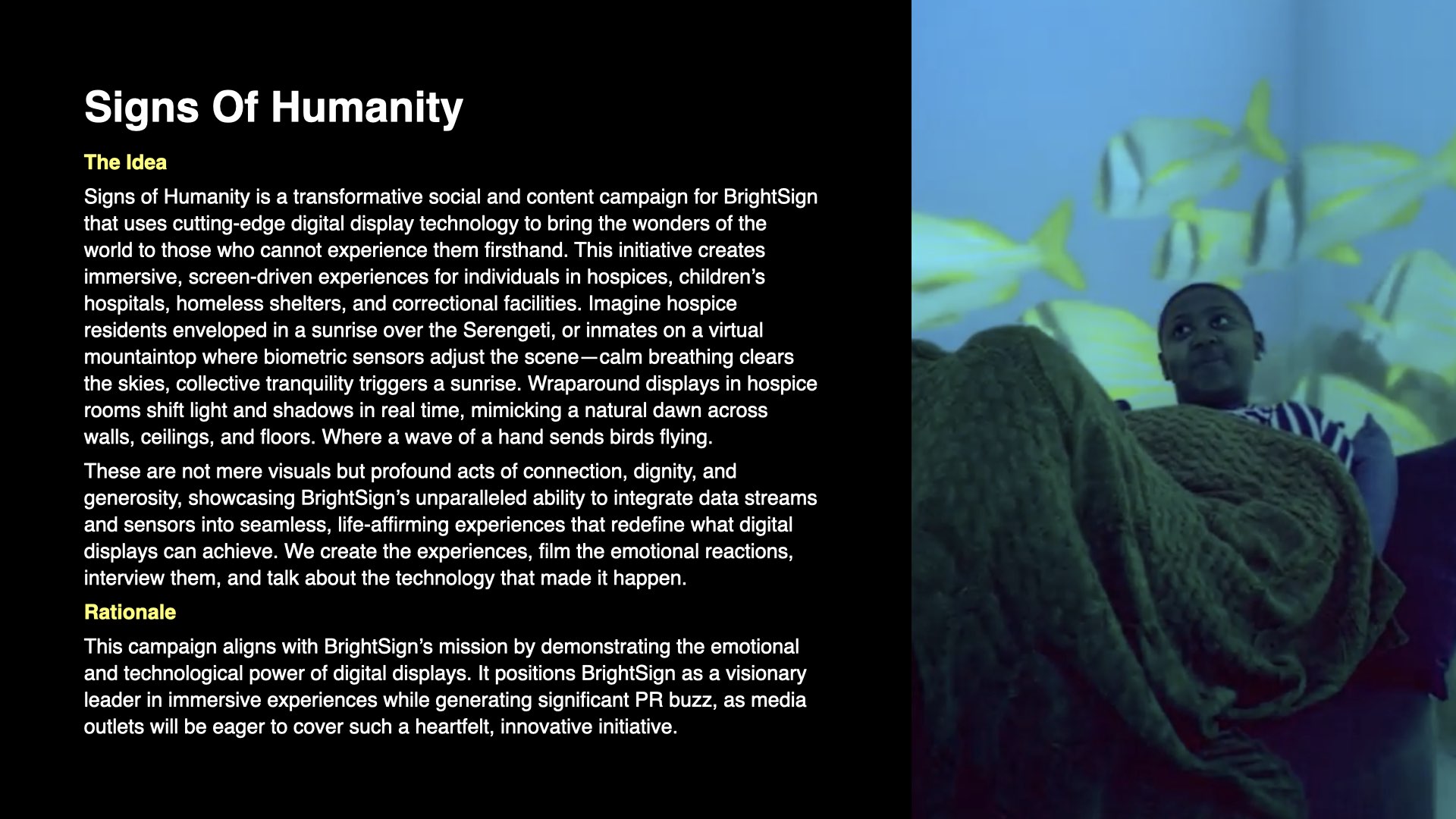 BrightSign Round 2, presentation slide 10